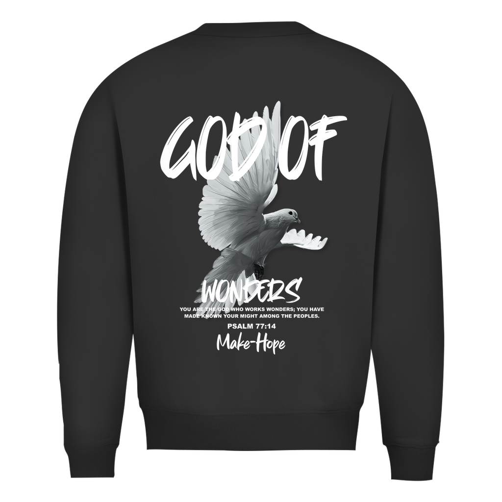 God of Wonders Sweatshirt Printegy